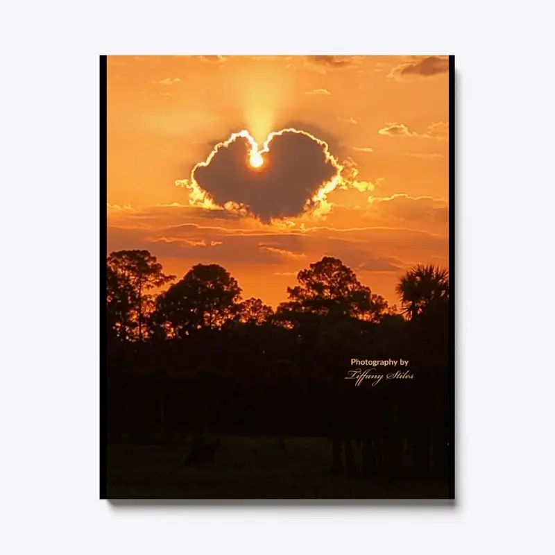 Simply Divine Canvas Print 