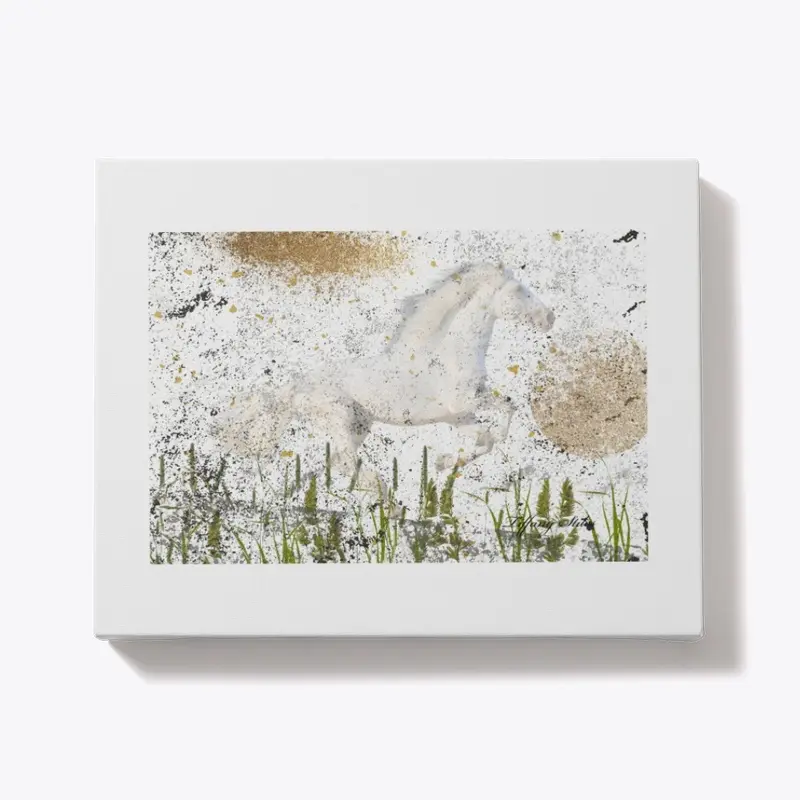 Stay Wild Horse Canvas Print 